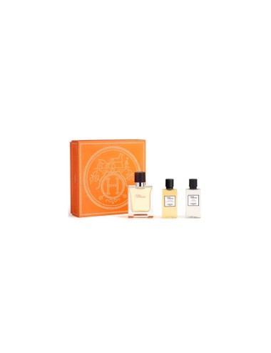 Hermès Terre D'hermes e T 50 Spray Gel40 Ash40