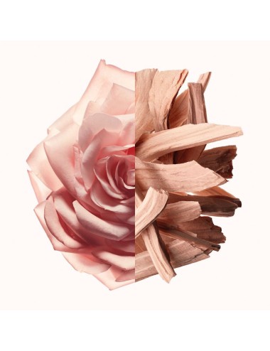 Givenchy Irresistible Nude Velvet Edp 35ml