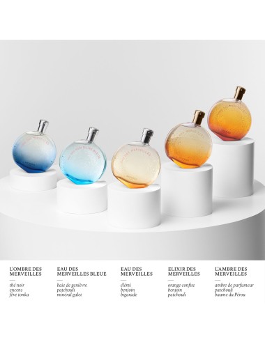 Hermès Eau Des Merveilles Bleue Eau De Toilette Spray 100ml