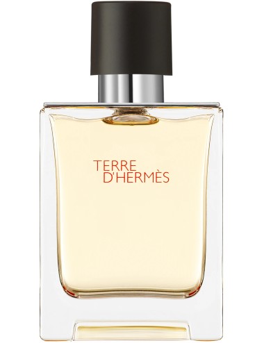 Terre D'Hermes Eau De Toilette Vaporisateur 50ml