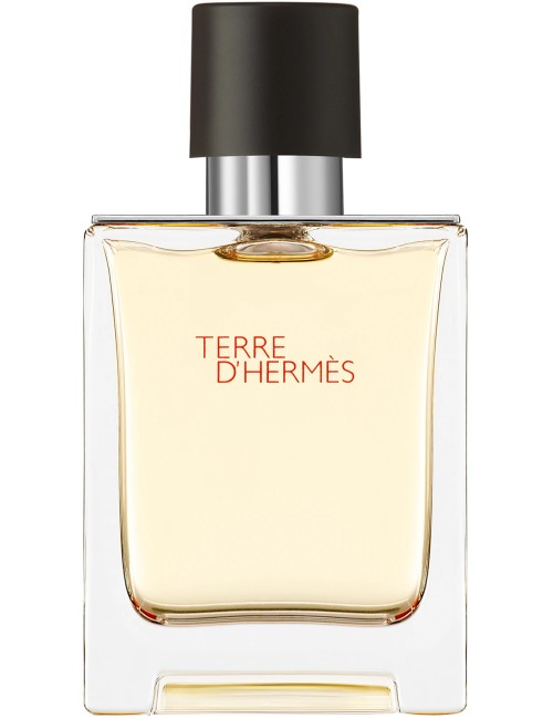 Terre D'Hermes Eau De Toilette Vaporisateur 50ml