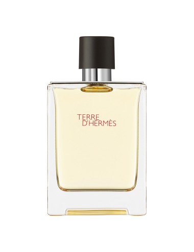 Hermes Terre D'Hermes Eau De Toilette Vaporisateur 100ml
