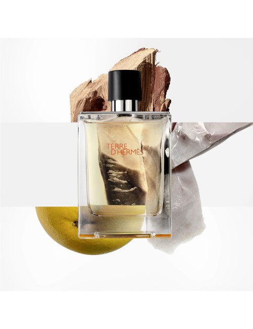 Hermes Terre D'Hermes Eau De Toilette Vaporisateur 100ml