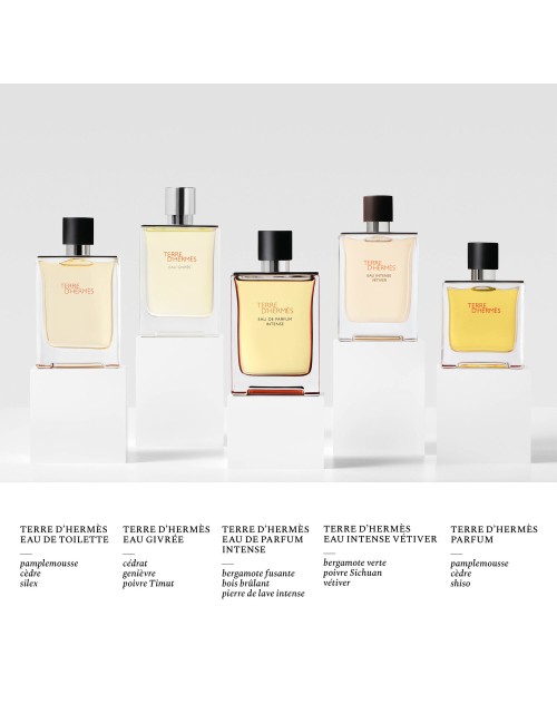 Terre D'Hermes Eau De Toilette Vaporisateur 50ml