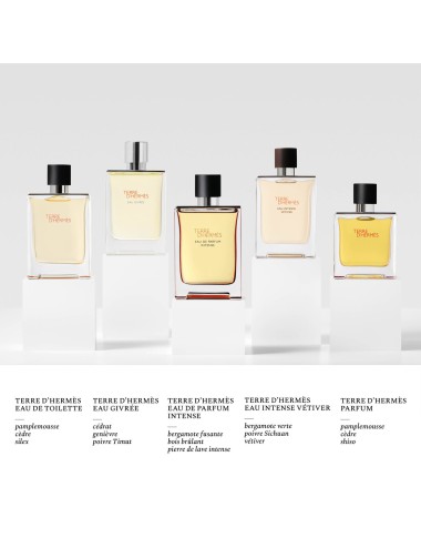 Terre d’Hermès Eau de Toilette 200ML Parfum Homme Boisé