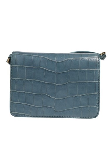 Sac Dolce & Gabbana vert cuir exotique – Mini crossbody luxe