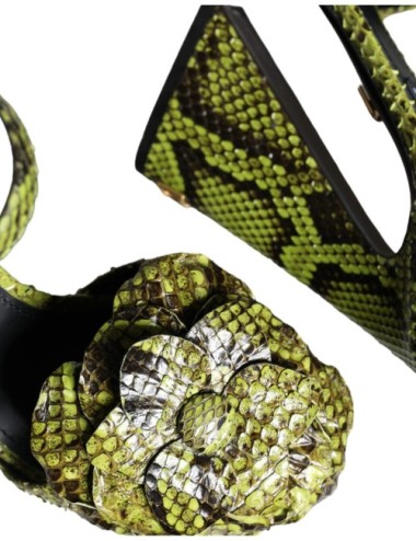 Sandales Dolce & Gabbana cuir exotique vert - Paloma Private Club