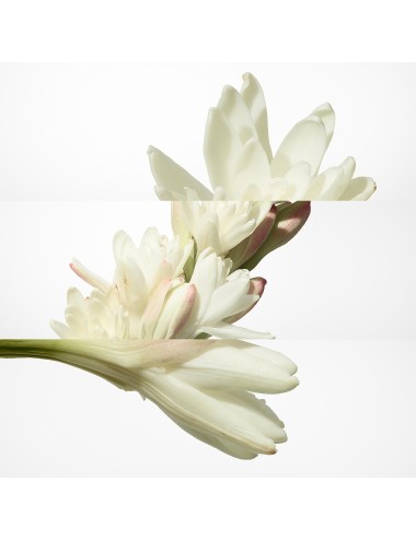 Hermès Twilly D'Hermès Eau De Parfum Vaporisateur 50ml