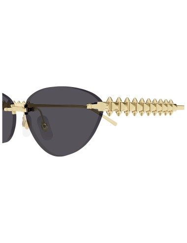 Lunettes Cartier CT0543S – Élégance Clash de Cartier