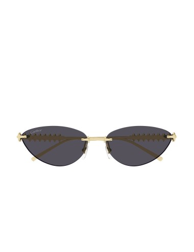 Lunettes Cartier CT0543S-002 Or – Élégance Clash de Cartier