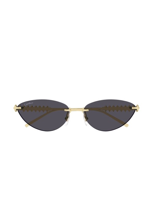 Lunettes Cartier CT0543S – Élégance Clash de Cartier