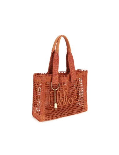 Sac Chloé Multicolore en Raphia | Chic Bohème, Tendance & Iconique