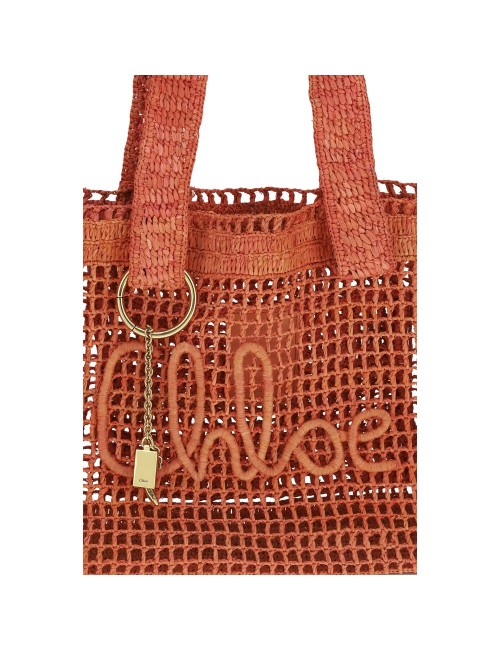 Sac Chloé Multicolore en Raphia | Chic Bohème, Tendance & Iconique